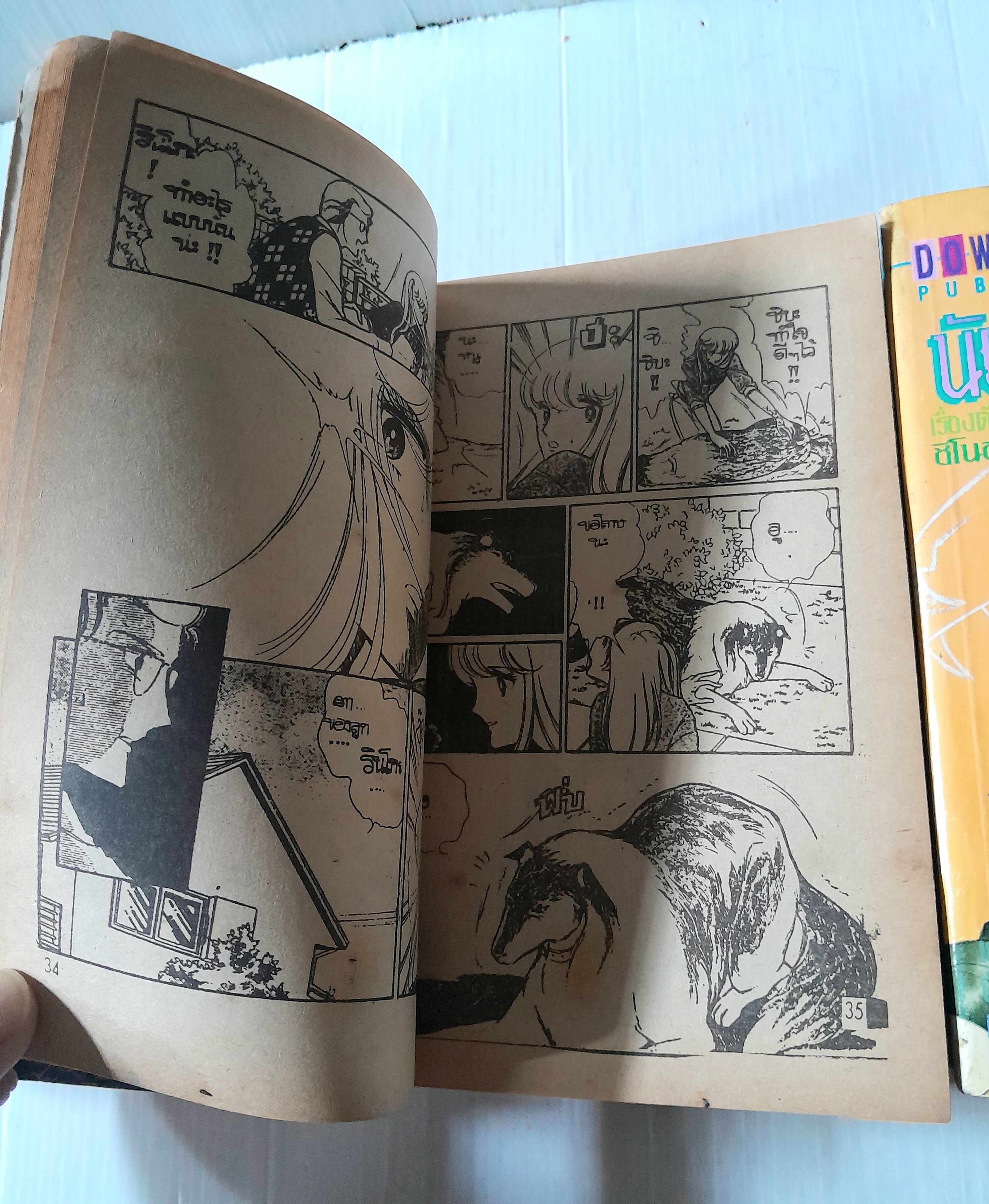 นัยน์ตาเธอสีม่วง 3 เล่มจบ / Chie Chinohara