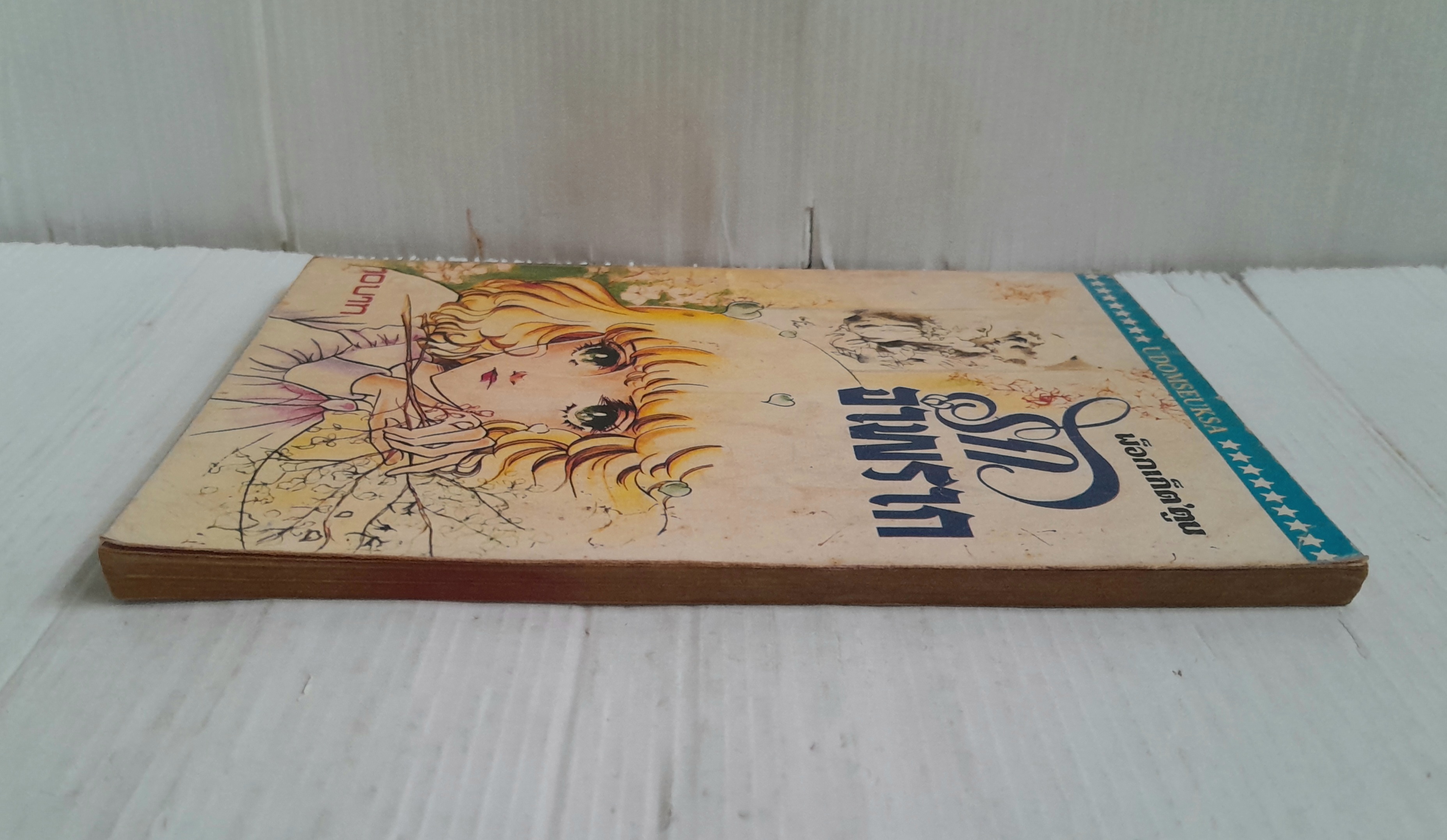 รักจำพราก (เล่มเดียวจบ)