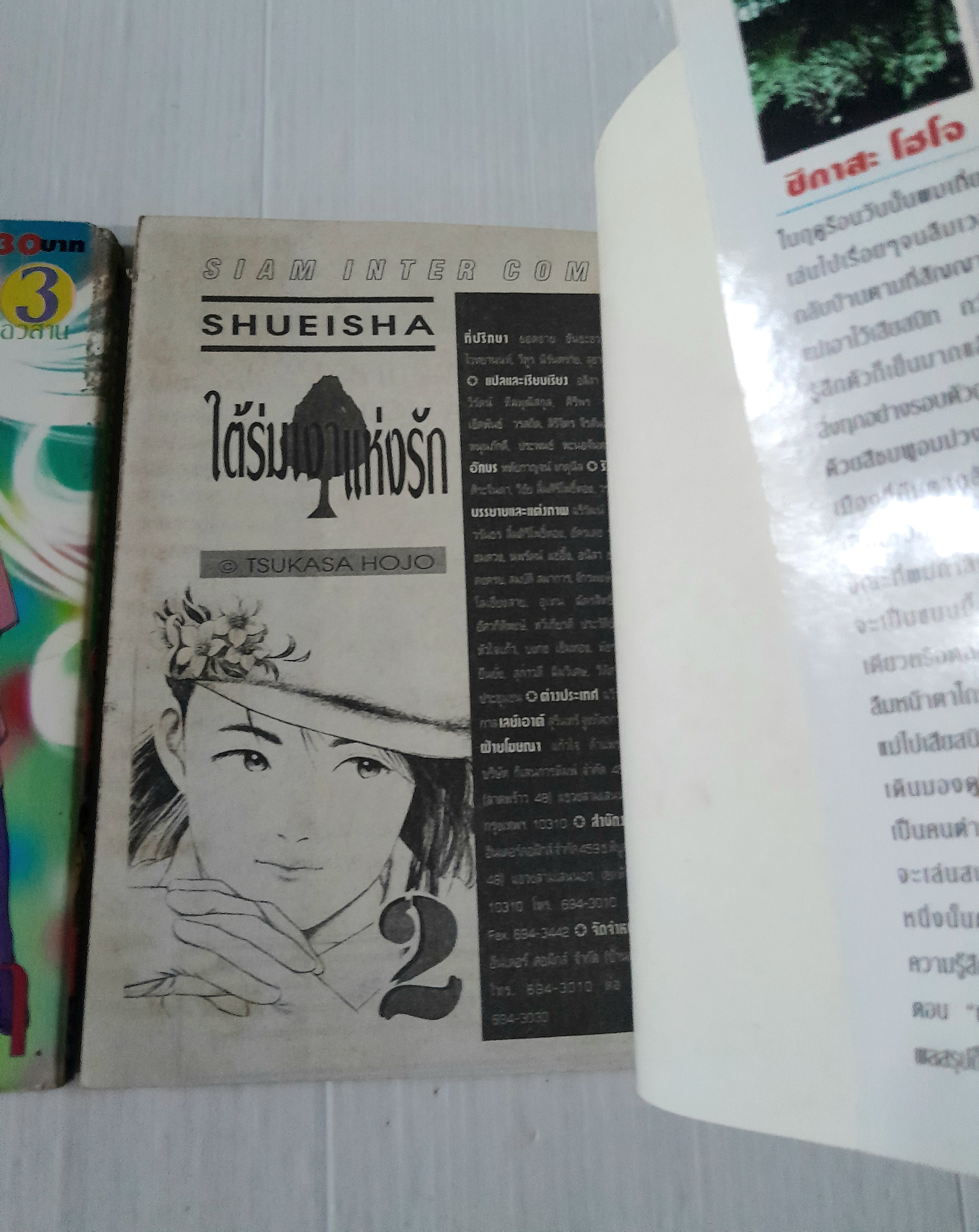 ใต้ร่มเงาแห่งรัก 3 เล่มจบ / Tsukasa Hojo