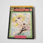 ตำนานรักหน้าต่างอาถรรพ์ เล่ม 13