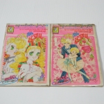 แอนก็คือแอน เล่ม 2-3 / คนเขียนแคนดี้