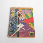 เจ้าหญิงอัศวิน เล่ม 4 / โอซามุ เทจิมะ