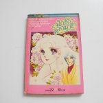 นักรักโลกมายา เล่ม 22 / ซุสุเอะ มิอุจิ