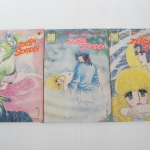 200 ปีที่รอคอย 3 เล่มจบ / ฮิโรมิ ซาคิ