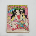 จอมแก่นแก้วฮิเมโกะ ภาคอรุณสวัสดิ์ อันดับ 35 (8)