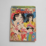 จอมแก่นแก้วฮิเมโกะ อันดับ 15 / Fujiwara Eiko