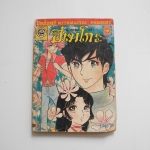 จอมแก่นแก้ว ฮิเมโกะ เล่ม 22