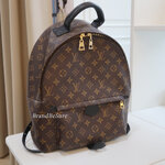 Louis Vuitton Monogram Palm Spring MM