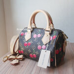 Louis Vuitton X Murakami Monogram Cherry Speedy 20 Ban"