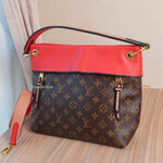 Louis Vuitton Red Calfskin/ Monogram Tuileries Besace Bag