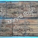 SURVIVED SERIES ต้องรอด 7 เล่ม (จบครบชุด)