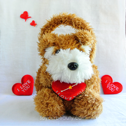 ตุ๊กตากระเป๋า (น้องหมี/น้องหมา)