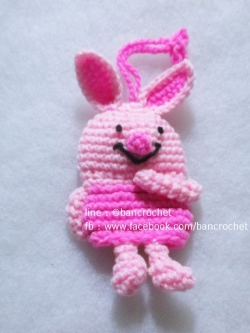 ครอบกุญแจพิกเล็ท