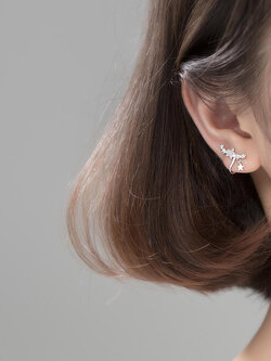 ต่างหู ตุ้มหูแฟชั่น