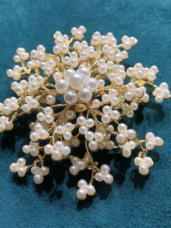 เข็มกลัด เข็มกลัดสวยๆ เข็มกลัดติดเสื้อ Brooch