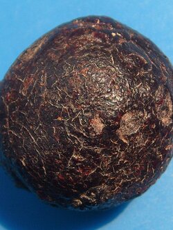 ลูกอมครั่งพุดทรา หลวงพ่อทองศุข วัดตโนดหลวง