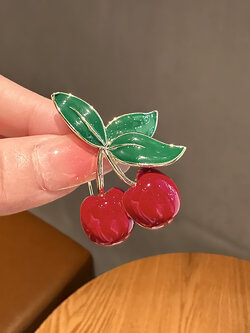 เข็มกลัด เข็มกลัดสวยๆ เข็มกลัดติดเสื้อ Brooch
