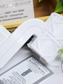 Bath & Body Works / Wallflowers Fragrance Plug (#ลายพิเศษ1 / สองขา)