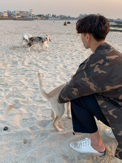 เสื้อผู้ชาย เสื้อแฟชั่นผู้ชายสไตล์เกาหลี By MCYC