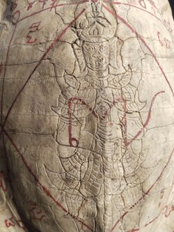 กระดองเต่า๑๐๐ปี