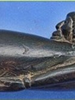 ปลัดขิกลิง หลวงพ่อคง วัดวังสรรพรส