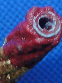 ตะกรุดหลวงพ่อจำลอง