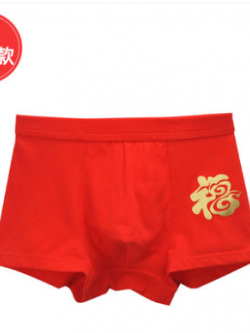 กางเกงในเด็กผู้ชาย