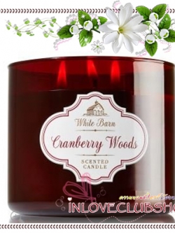 Bath & Body Works Slatkin & Co / Candle 14.5 oz. (Cranberry Woods)