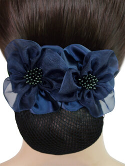 เน็ตคลุมผม