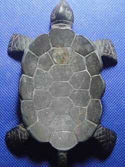 เต่าหลังแอ่น