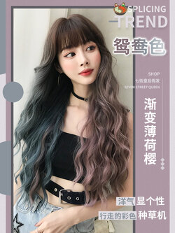 วิกผม วิกผมสไตล์เกาหลี วิกผมผู้หญิงราคาถูก แฮร์พิช Hairpiece BY Queen Seventh Street