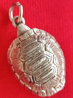 เต่าเงิน