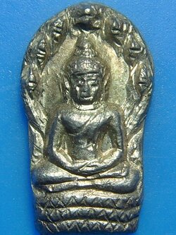 พระนาคปกหลวงปู่ชอบ ฐานสโม