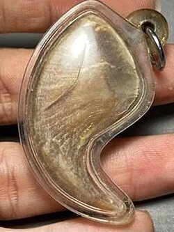 เล็บเสือ