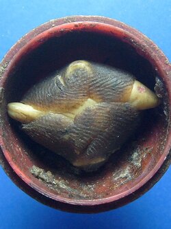 ตลับนวดสาริกา