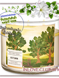 Bath & Body Works Slatkin & Co / Candle 14.5 oz. (Autumn) *หอมกลิ่นแอปเปิ้ลกาล่า ลูกฟิก ใบสน และใบยูคาลิปตัส สดชื่น