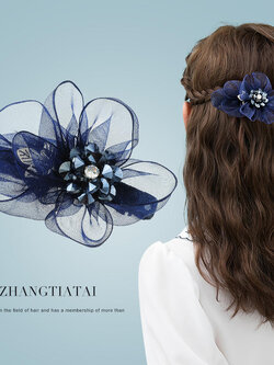 กิ๊บติดผมน่ารัก หรูหรา