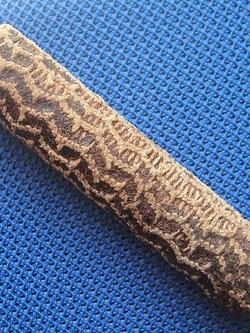 ตะกรุดหลวงพ่อผุด วัดวังเวียน