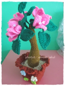 ต้นเฟื่องฟ้าถัก