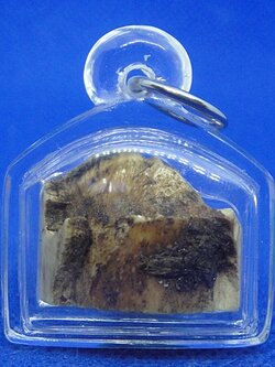 งากำจัด... คืองาช้าง