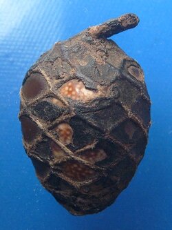 เบี้ยแก้