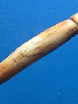 ปลัดขิกงา