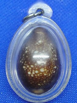 เบี้ยแก้ผงยา