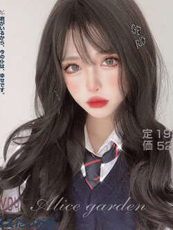 วิกผม วิกผมเกาหลี วิกผมยาว BY WIG SALON