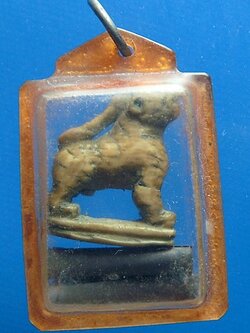 เสือหลวงปู่ยิ้ม วัดหนองบัว