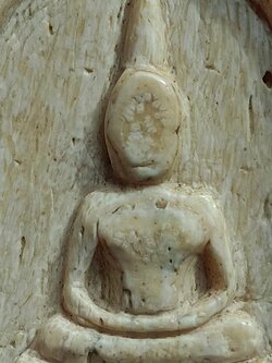 งางอกช้าง