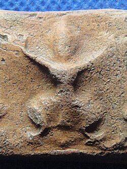 ครุฑเนื้อดิน