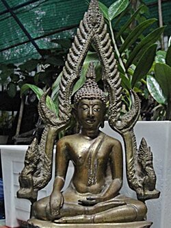 พระพุทธชินราช