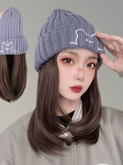 หมวกวิกผม หมวกวิกผมยาว หมวกผมปลอม หมวกวิก BY Ailead