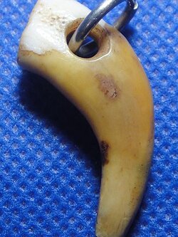 เขี้ยวเสือ